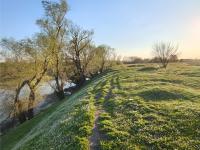 Imagine atasata: aaa (7).jpg